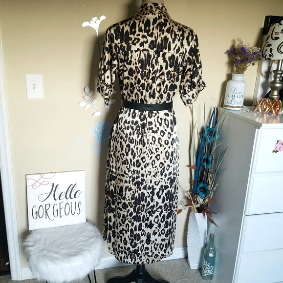 New Zara Woman Leopard Dress - Picture 7 of 8